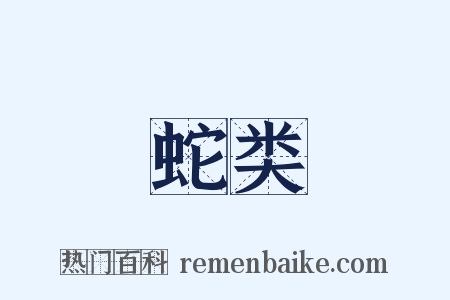 蛇类是什么意思的图片